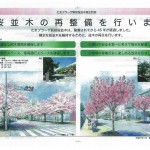 “たまプラーザ駅前桜並木再生計画”　いよいよ始まる!